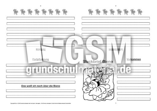 Biene-Faltbuch-vierseitig-4.pdf